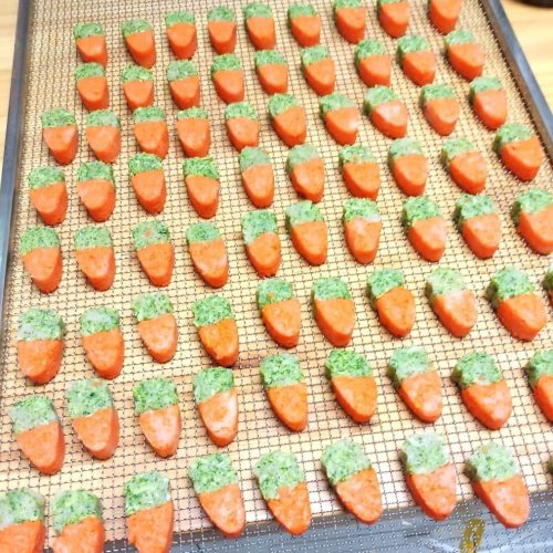 258883672 1604595356552097 6205370945850739993 N