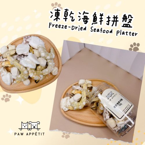 WhatsApp Image 2024 03 05 At 8.48.02 PM