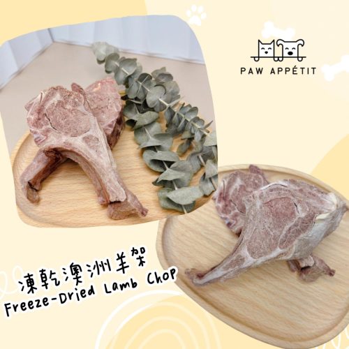 WhatsApp Image 2024 03 05 At 8.48.03 PM