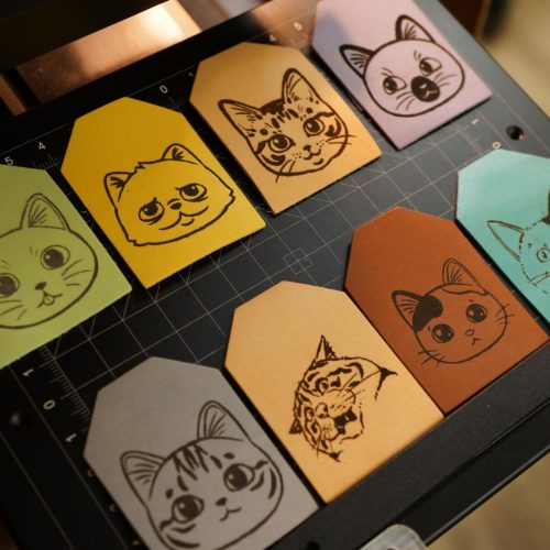 WhatsApp Image 2024 03 10 At 13.25.35