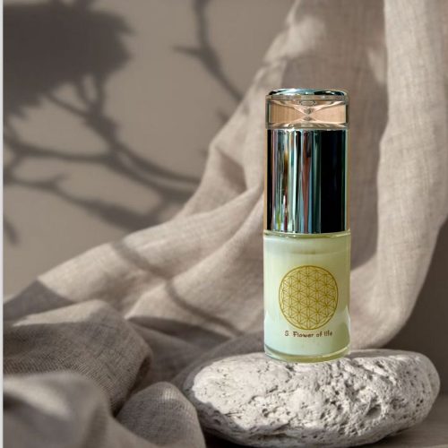 WhatsApp Image 2024 03 26 At 6.18.01 PM 3