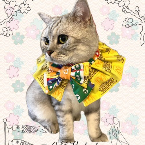 WhatsApp Image 2024 04 02 At 11.19.40